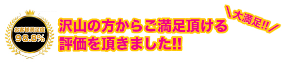 風雷益 燃料添加剤