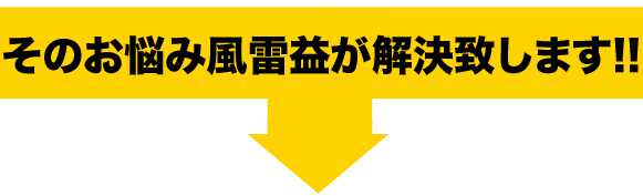 エルグランド 燃費