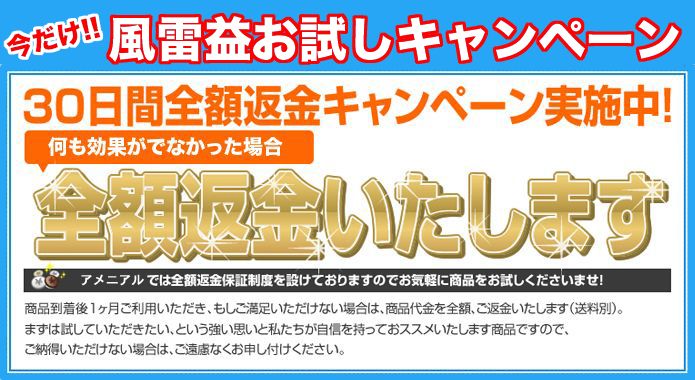 全額保証制度